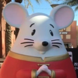 Meet your Posher, Dawn